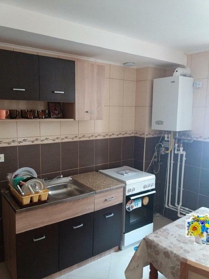 דירות בוסטאני Apartament De Inchiriat מראה חיצוני תמונה